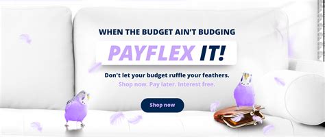 pnayflix1|payflex website.